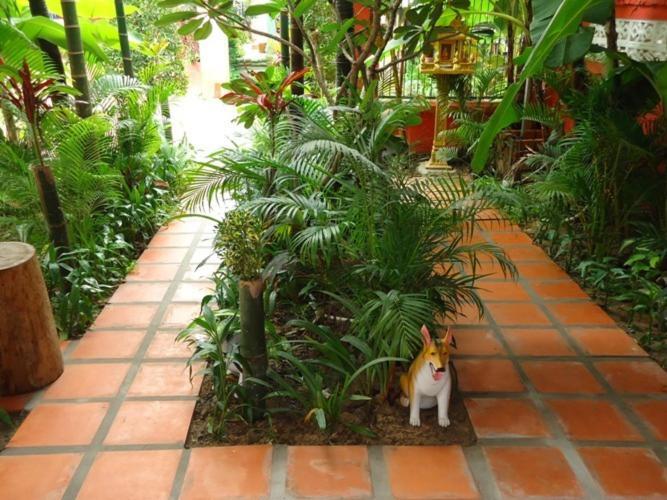 Ladybug Guesthouse Siem Reap Exterior foto